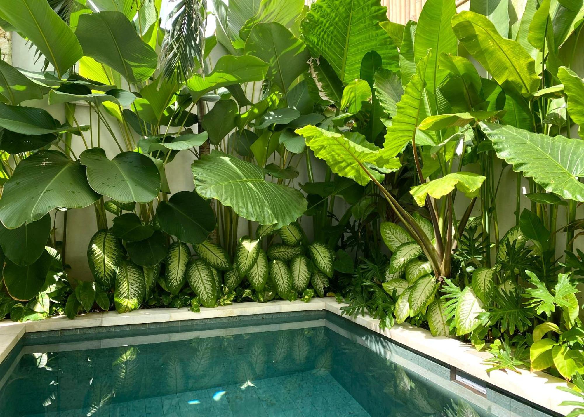 Alma Bingin Boutique Hotel Uluwatu  Luaran gambar
